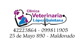 Clínica veterinaria López Quintana